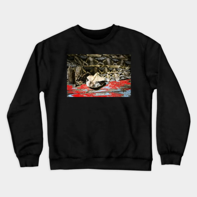 Schlange / Swiss Artwork Photography Crewneck Sweatshirt by RaphaelWolf